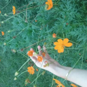 amelodramati-ca avatar