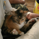 amenancetosocietylikealways-blog avatar