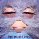 amenaraiza-blog-blog avatar