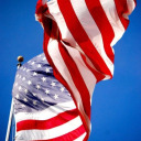 american-beauty avatar