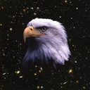 american-in-space avatar