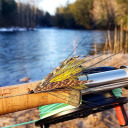 american-king avatar