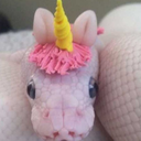 americancirconflexe avatar