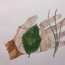 americangrove avatar