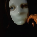 americanguineapig avatar