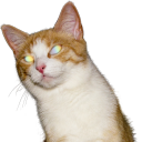 americanhouses avatar