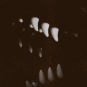 americannowhere avatar