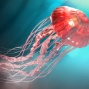 americansparrow avatar