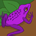 amethyst-amphibian avatar