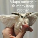 amethyst-babybun avatar