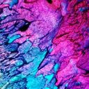 amethyst-flame avatar