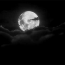 amethystgamer avatar