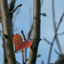 amethystpalace avatar