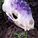 amethystskeleton avatar