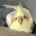 amethystsmallspace avatar