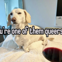 ami-rite-ladies avatar