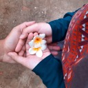 amigdalastory avatar