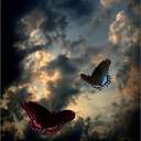 amillionintangibles avatar