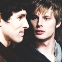 amillionlightningbugs avatar