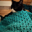 amillionmagpies avatar