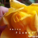 amiramechtaflowers avatar