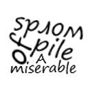 amiserablepileofwords avatar
