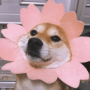 amisgreaterthanpm avatar