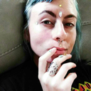 amishbearcrimes avatar