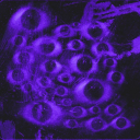 amistymemoryalostembrace avatar