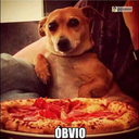 amls2105-blog avatar