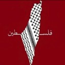 amna997 avatar