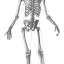 amnesticsyndrome avatar