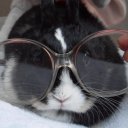 among-the-stars-i-am avatar