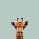 amongthestarsandundertheocean avatar