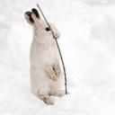 amongthestarsatnight avatar