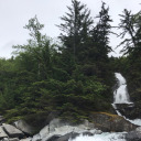 amongthewildflowers19 avatar