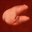 amoralsol-blog avatar