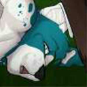 amoras-collie-blog avatar