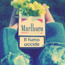 amoremiograndechemicredi avatar