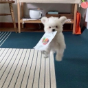 amorevolous-lune avatar