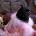 amorucccio-blog avatar