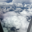 amoryotrascosass avatar