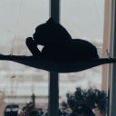 amourcafecreme avatar