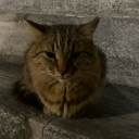 amouredcherie avatar