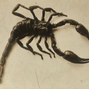 ampersandinterb avatar