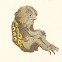 amthrfckngwoman avatar