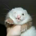 amy-with-lotsoflooove avatar