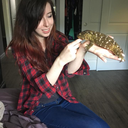 amyalexandra-reptiles avatar