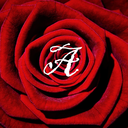 amydiddle-fanfiction avatar