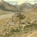 amyfollowsthesims avatar